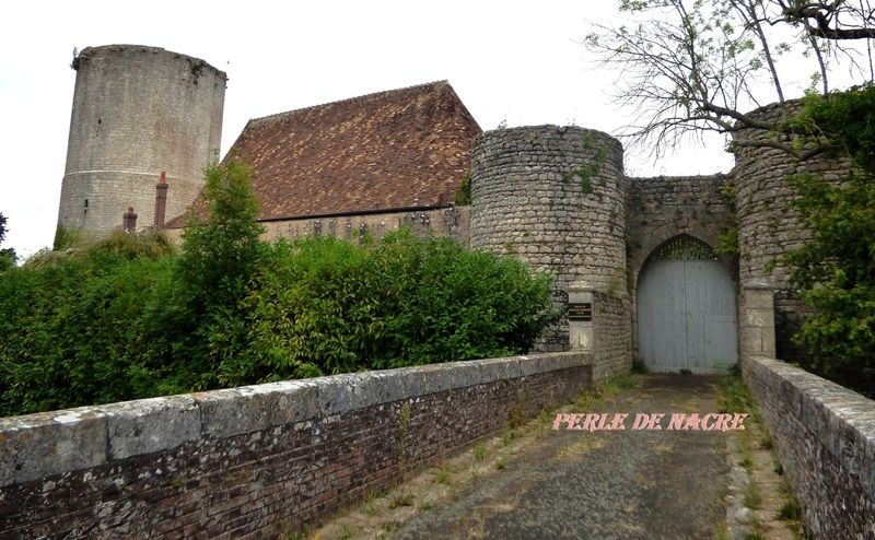 DONJON-13EME-ALLUYES-DPT-28-10.jpg