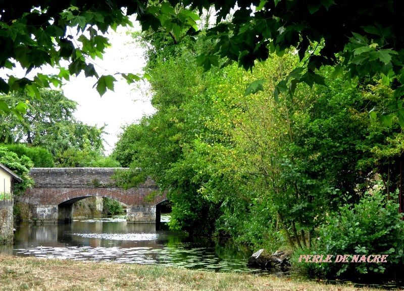 RIVIERE-LE-LOIR-A-ALLUYES-DPT-28-29.jpg